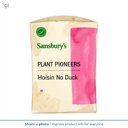 Sainsbury's Plant Pioneers Hoisin No Duck